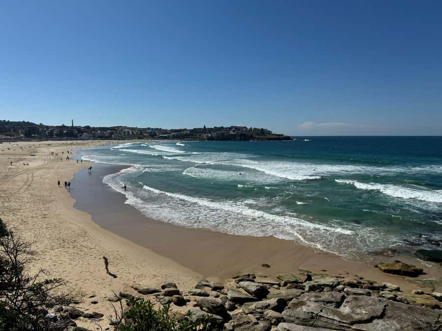 1/2 day Sydney Sightseeing and Bondi Beach Tour - Centennial Park shows a quieter side of Sydney