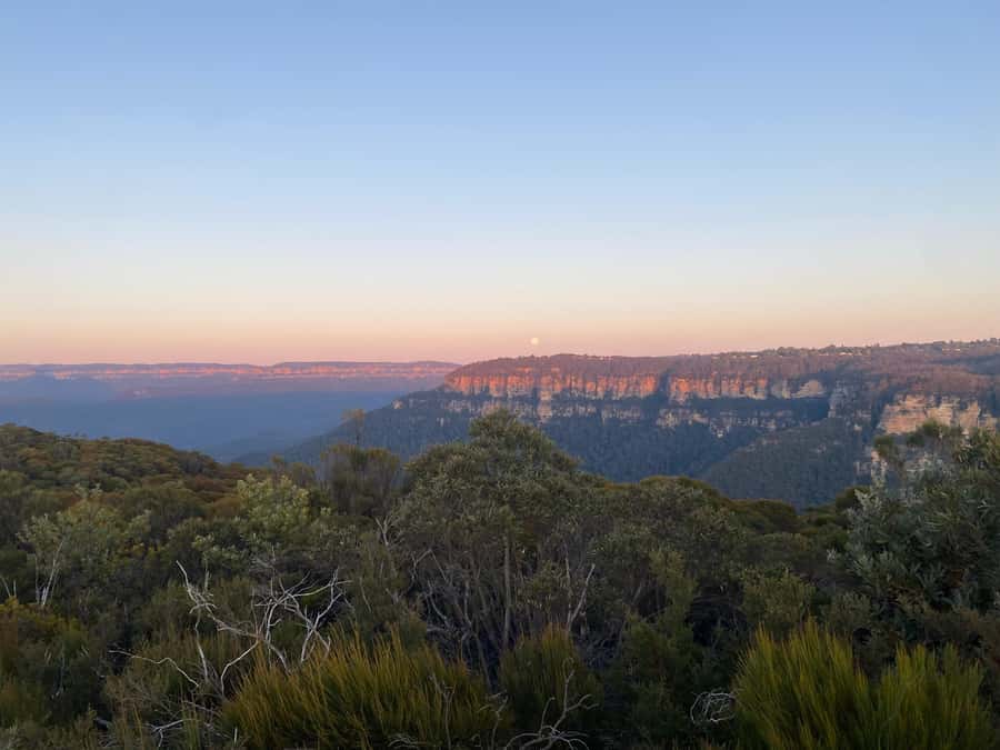 #1 Blue Mountains Tour Scenic World Waterfalls Wildlife Park - Is $161 good value?