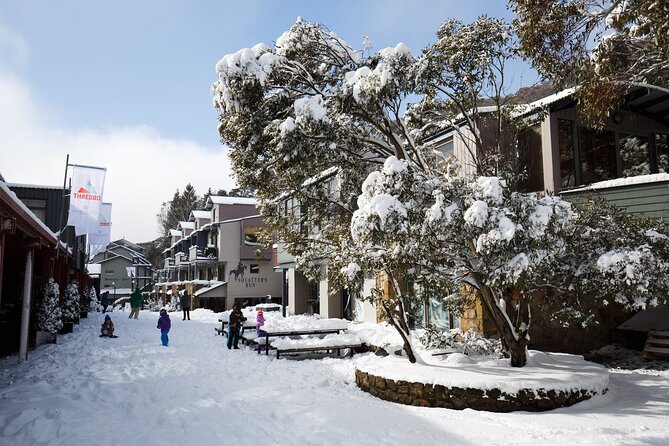1 Day Thredbo Snow Tour From Sydney - Who should book this snow tour