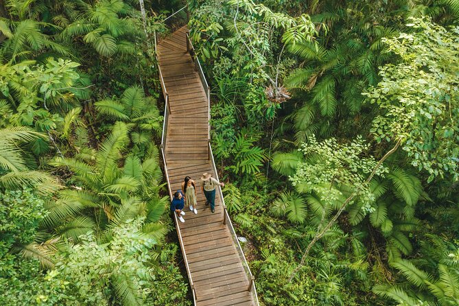 14 Day Tour from Sydney to Cairns Fraser Island and Whitsundays - Noosa and Rainbow Beach set up the island adventure