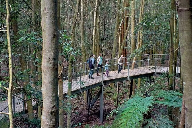 3 Day Private Tour in Blue Mountains and Kiama in Sydney City - Day 3: Sea Cliff Bridge and the Kiama coast