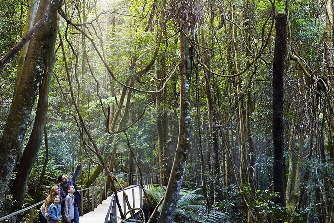 3 Day Private Tour in Blue Mountains and Kiama in Sydney City - Day 2: Blue Mountains cliffs and native wildlife