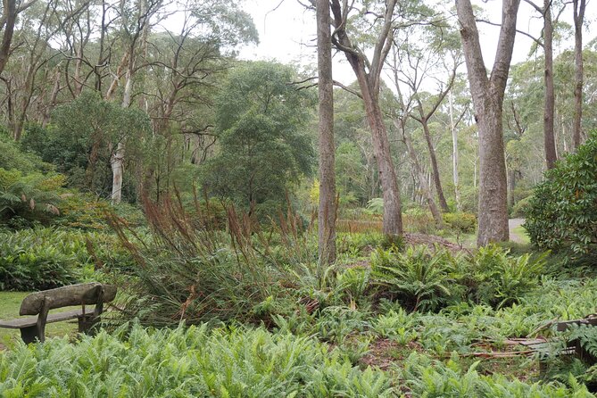 3 Day Scenic Tour of Blue Mountains from Sydney - Day three: Govetts Leap, heritage rail, and colonial Australia