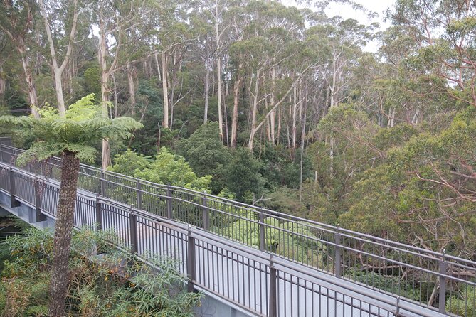 3 Day Scenic Tour of Blue Mountains from Sydney - Who will get the most from this tour