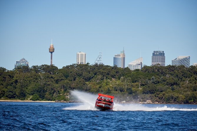 30-Minute Sydney Harbour Jet Boat Thrill Ride - Timing, weather, and cancellation details
