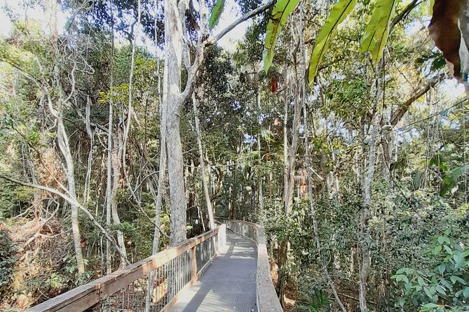 4-Day Private Coastal Escape from Sydney to Mid North Coast - Why this private Sydney to Port Macquarie trip works