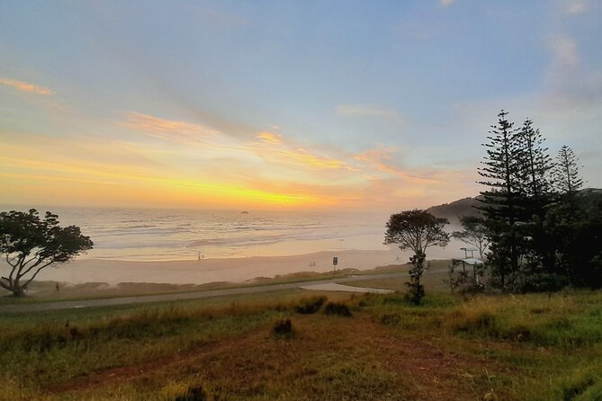 4-Day Private Coastal Escape from Sydney to Mid North Coast - Day two: lighthouses, koalas, rainforest, and local produce