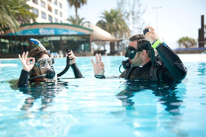 45 Minute Extreme Adrenaline Rush Ride - Luna Park and Taronga Zoo from the water