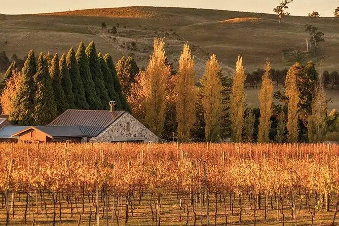 A Day In The Vineyards || Luxury Private Winery Tour From Sydney - Why this Southern Highlands day works