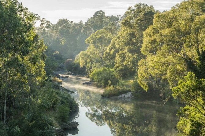 A Day In The Vineyards || Luxury Private Winery Tour From Sydney - What the private format changes