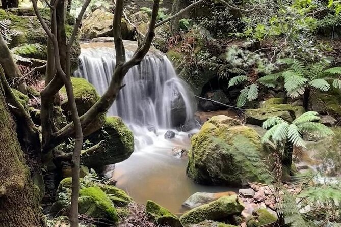 Adventurous Blue Mountains hike up the iconic Three Sisters - A useful pause in Leura