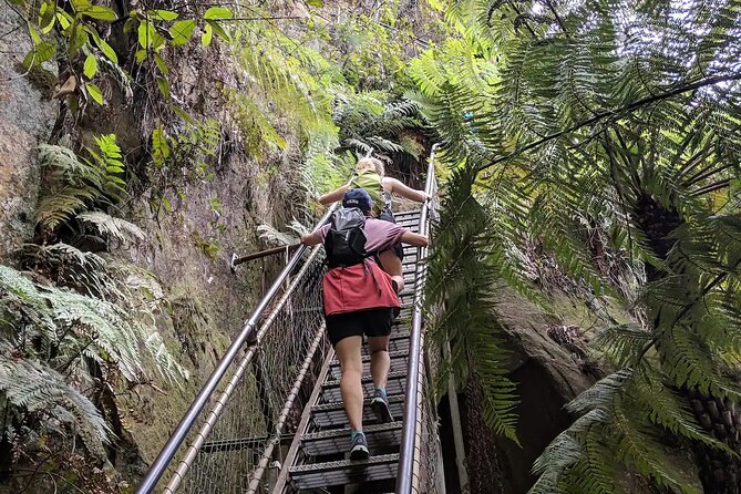 Adventurous Blue Mountains hike up the iconic Three Sisters - The 300-metre climb to the Three Sisters