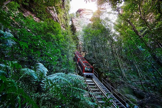 All Inclusive Blue Mountain,Scenic World,Lunch,Koalas,ferry - Scenic World: railway, Skyway, Cableway, and rainforest