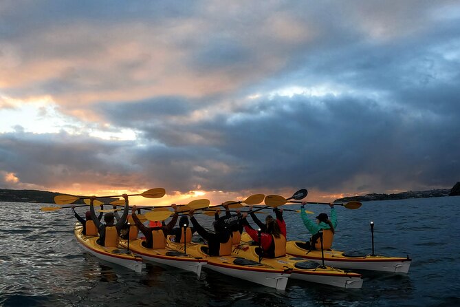 Beautiful Middle Harbour Sunriser / Guided Kayaking Private Tour - A beach breakfast with coffee and fruit