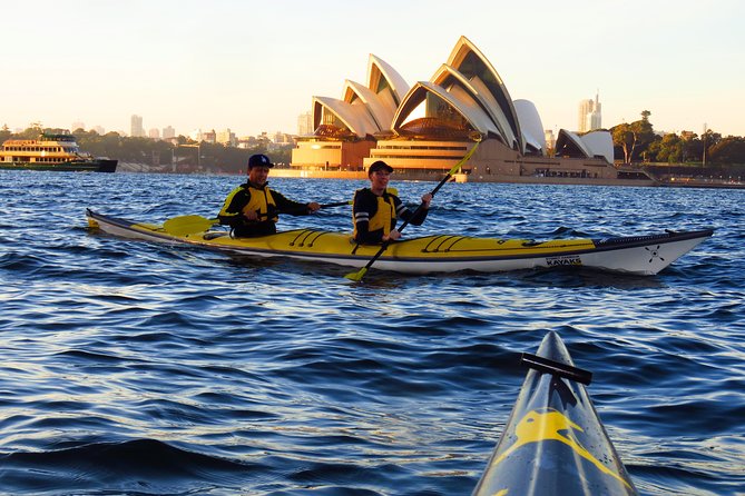 Beautiful Sydney Harbour Breakfast Kayaking Tour - Why a 7am paddle changes your view of Sydney