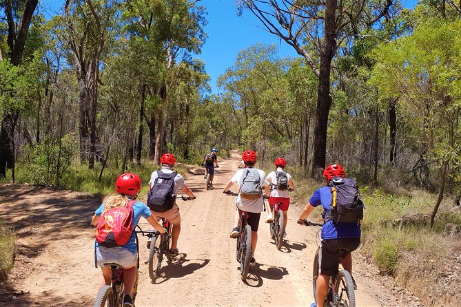 Blue Labyrinth PRIVATE Tour: Sydney Blue Mountains by E-Bike - Glenbrook is the smart starting point