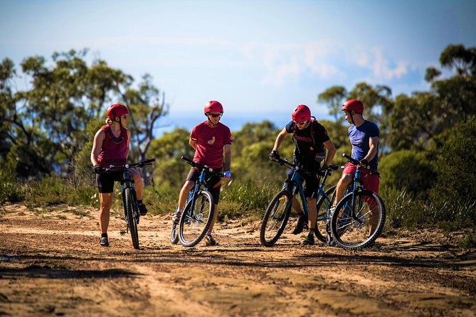 Blue Labyrinth PRIVATE Tour: Sydney Blue Mountains by E-Bike - Sandstone cliffs, valleys and river views