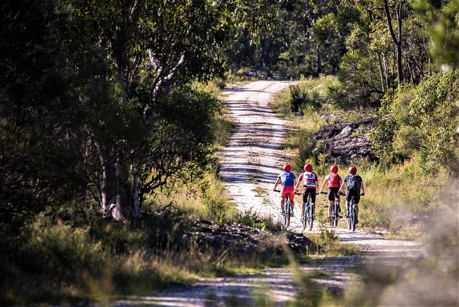 Blue Labyrinth PRIVATE Tour: Sydney Blue Mountains by E-Bike - Practical details that affect your morning