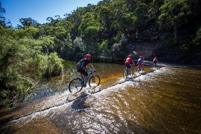 Blue Labyrinth PRIVATE Tour: Sydney Blue Mountains by E-Bike - Why the Blue Labyrinth route is worth considering