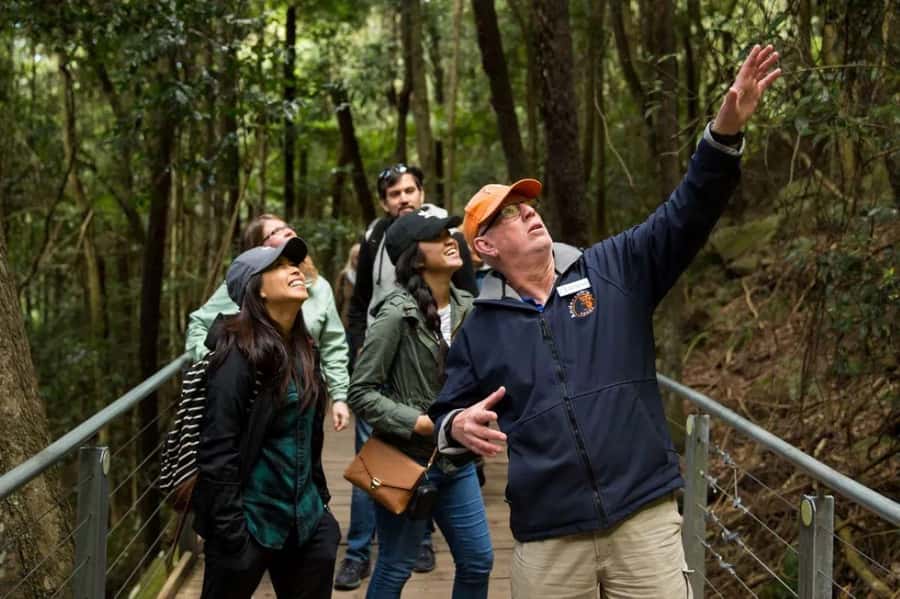 Blue Mountain: Small-Group Tour with Lunch & Scenic World - Key points to know before booking