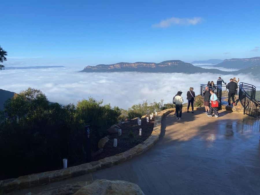 Blue Mountain: Small-Group Tour with Lunch & Scenic World - Who should book this tour