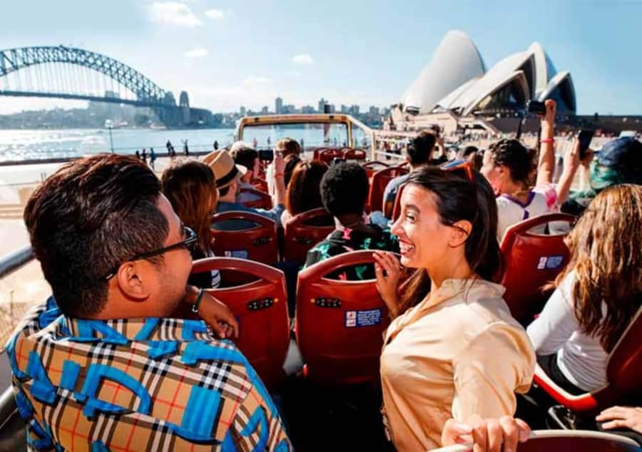 Blue Mountain Tour + Hop-on-Hop-off Big Bus Discover Ticket - One booking, two very different days