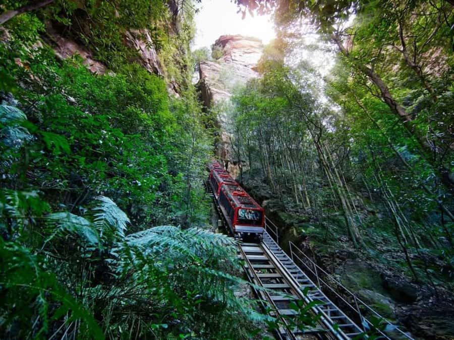 Blue Mountain Tour + Hop-on-Hop-off Big Bus Discover Ticket - Starting early from Central Station or Darling Harbour