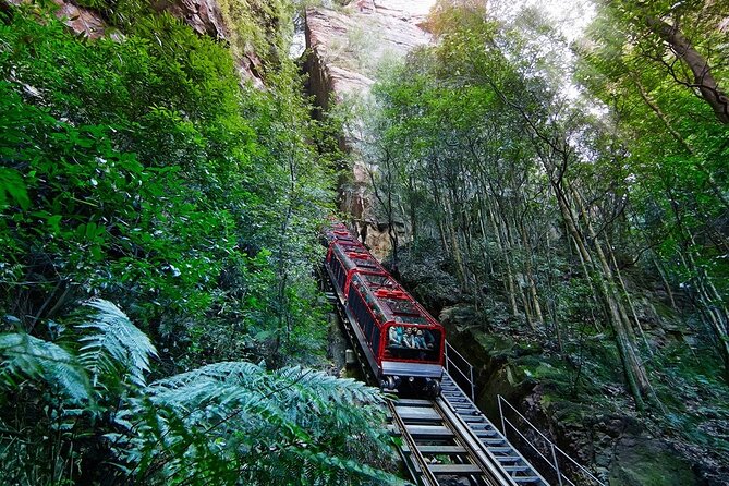 Blue Mountain Tour with Hop on and Hop Off Bus - The Big Bus ticket turns one mountain day into Sydney sightseeing