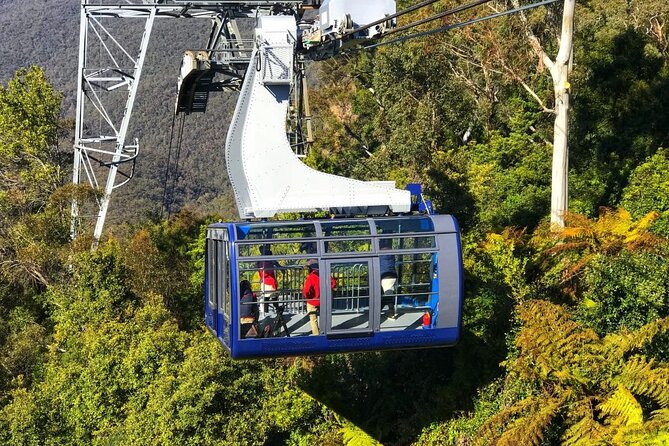 Blue Mountain Tour with Hop on and Hop Off Bus - Good guides make a busy schedule easier