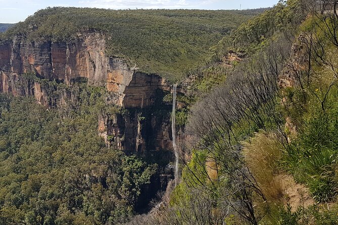 Blue Mountains 1-Hour Trike Tour of Three Sisters - Who will enjoy this ride most