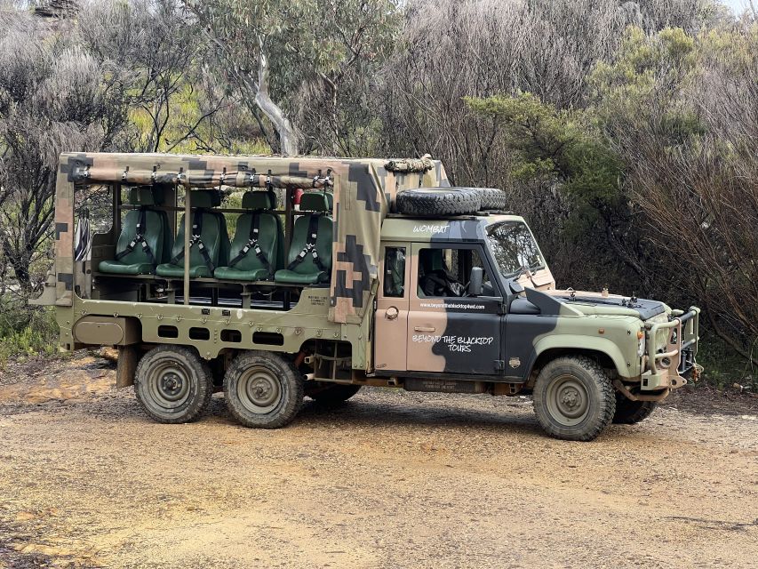 Blue Mountains 3 Hour Army Truck Adventures - Should you book the Blue Mountains Army Truck Adventure?