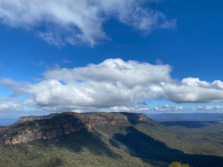 Blue Mountains 3 Hour Army Truck Adventures - Who will enjoy this most