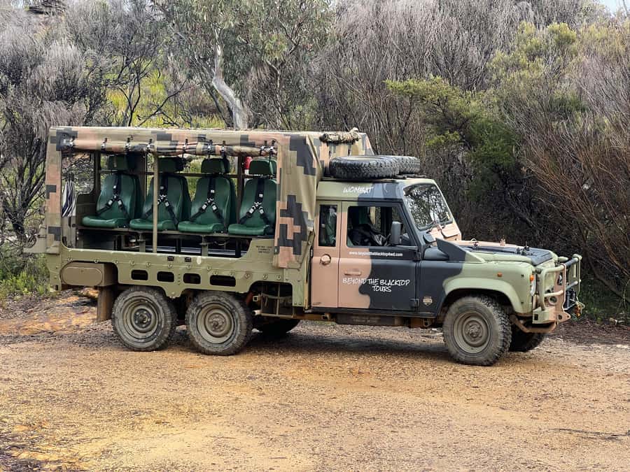 Blue Mountains 90 Minute Army Truck Adventures - What the army Land Rover adds to a Blue Mountains outing