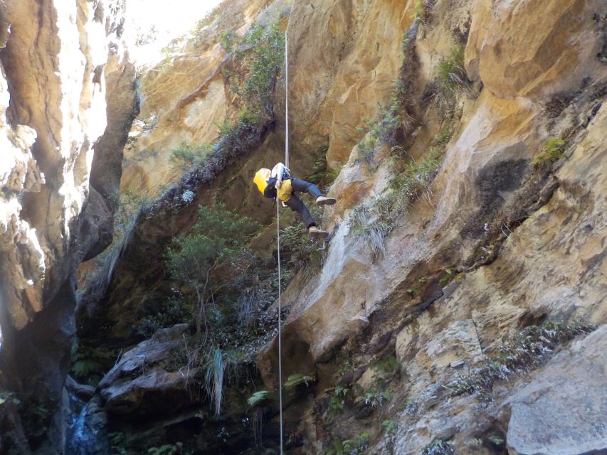 Blue Mountains: Abseiling and Canyoning Experience - How the $244 price holds up