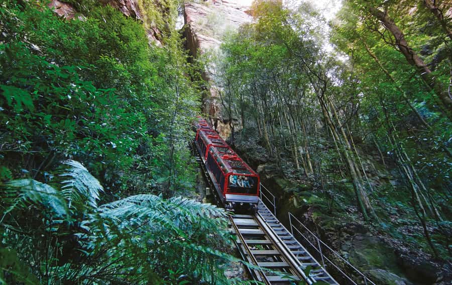 Blue Mountains Adventure: Scenic World, Zoo & Koala Photo - Why this Blue Mountains day works so well