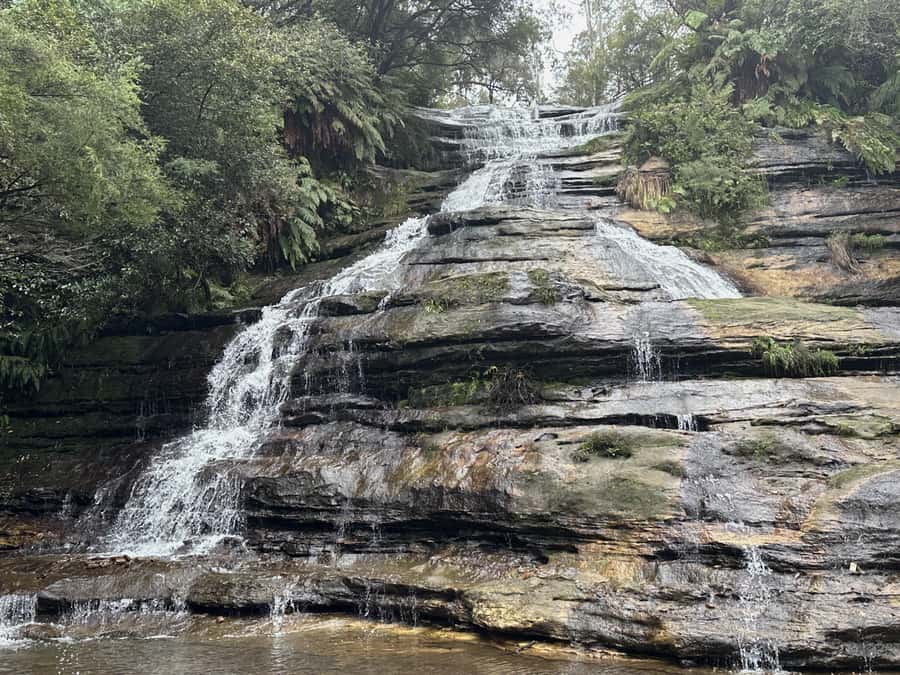 Blue Mountains Adventure: Scenic World, Zoo & Koala Photo - Katoomba Cascades adds a short walk