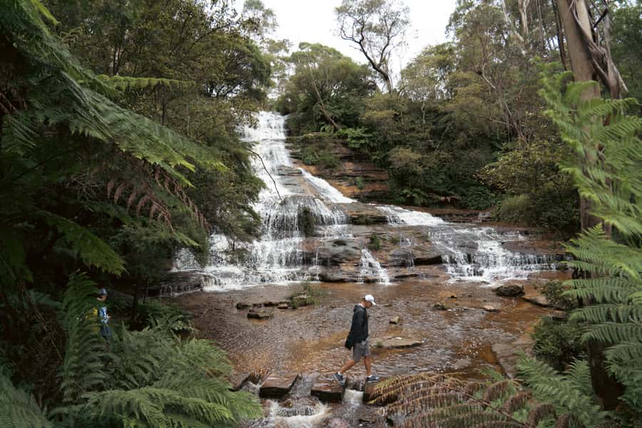 Blue Mountains Adventure: Scenic World, Zoo & Koala Photo - The ferry to Circular Quay is a fine finish