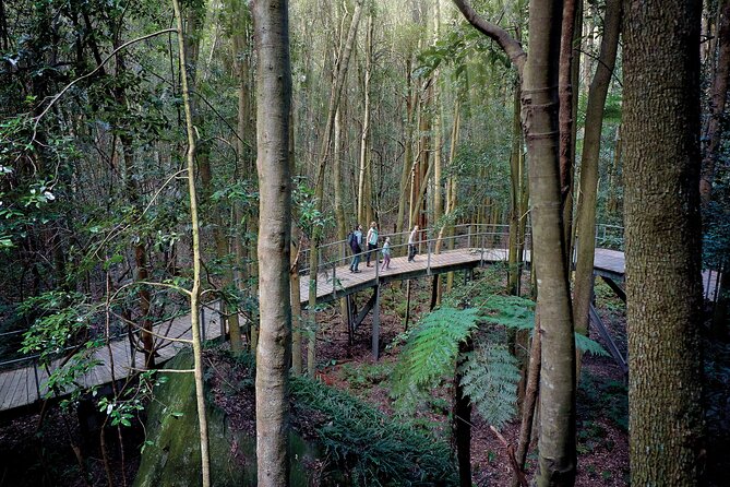 Blue Mountains Adventure w Scenic World, Zoo, Koala Photo & Ferry - Scenic World packs in three rides