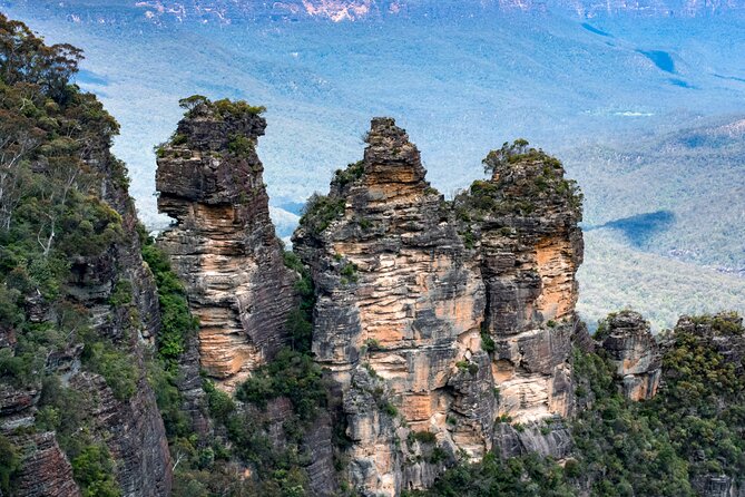 Blue Mountains Big Day Out - Private Tour - Featherdale Wildlife Park: a strong value inclusion