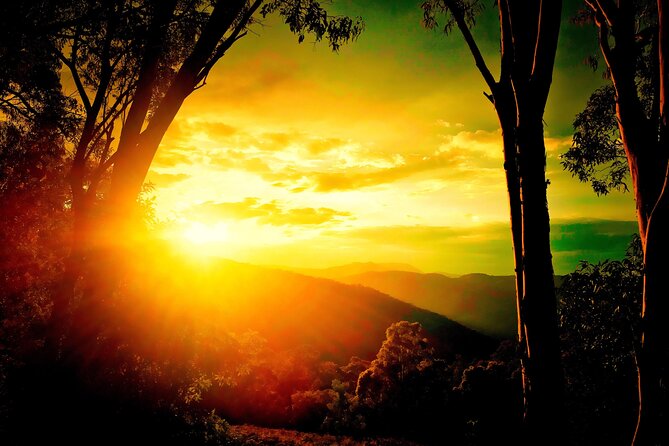 Blue Mountains Day, Sunset Tour & Glow Worms Night Adventure - Key points at a glance