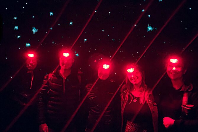 Blue Mountains Day, Sunset Tour & Glow Worms Night Adventure - Featherdale Wildlife Park: a gentle start with Australian animals