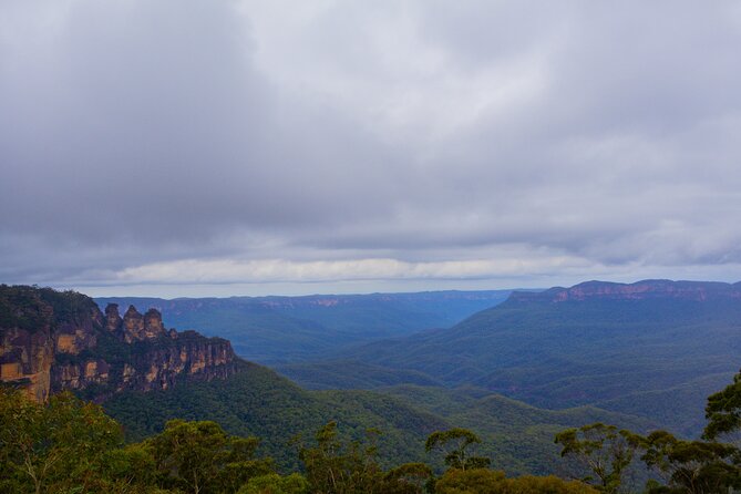 Blue Mountains Day Tour from Sydney - Sydney Zoo gives the morning a strong start