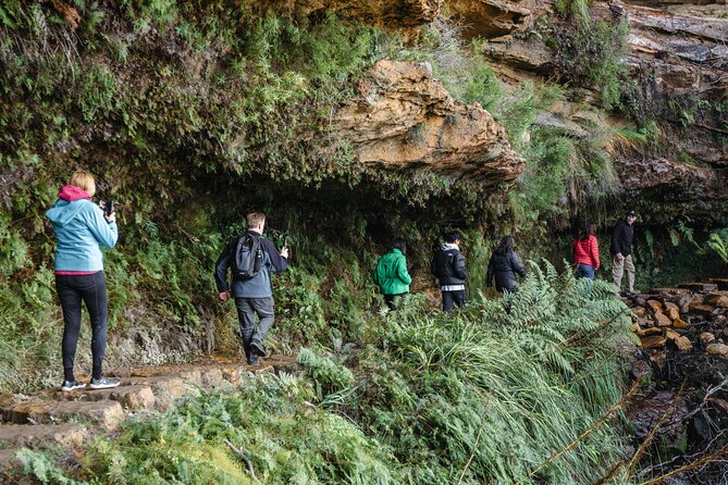 Blue Mountains Day Tour With Bushwalks, Waterfalls & Featherdale - Echo Point, the Three Sisters, and Jamison Valley