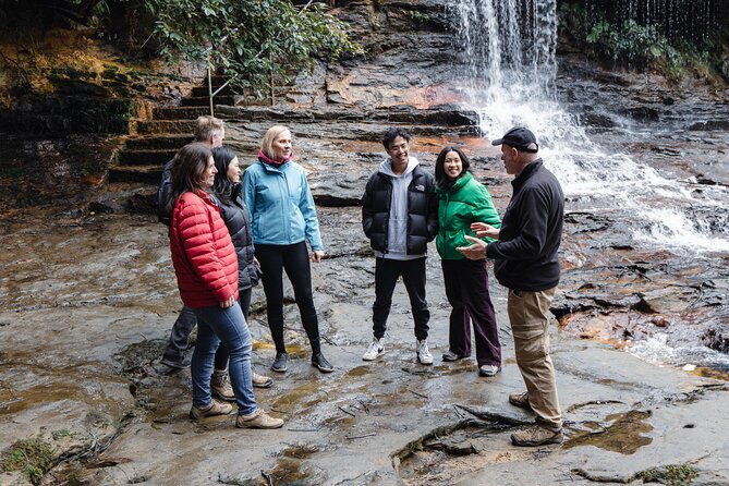 Blue Mountains Day Tour With Bushwalks, Waterfalls & Featherdale - Featherdale Wildlife Park and Australian animals