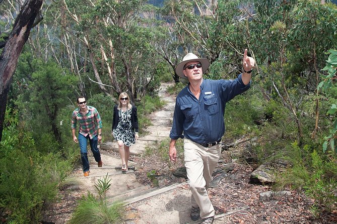 Blue Mountains Day Tour With Bushwalks, Waterfalls & Featherdale - Morning pickup and the road to the mountains