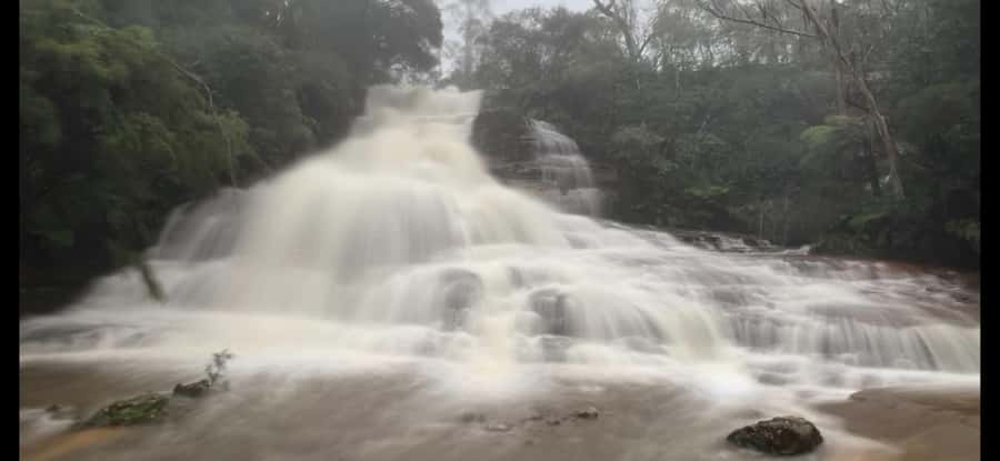 Blue Mountains day tour with Cruise, Scenic world pass & Zoo - Key points at a glance