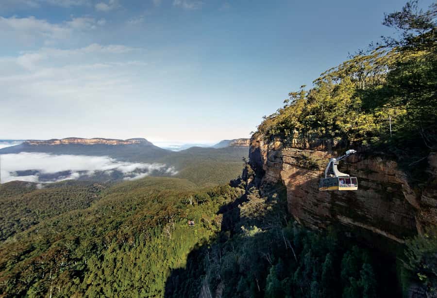 Blue Mountains day tour with Cruise, Scenic world pass & Zoo - The Three Sisters and Katoomba
