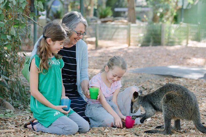 Blue Mountains Day Tour with Scenic World and Wildlife Park Entry - Lincoln’s Rock adds a quieter viewpoint