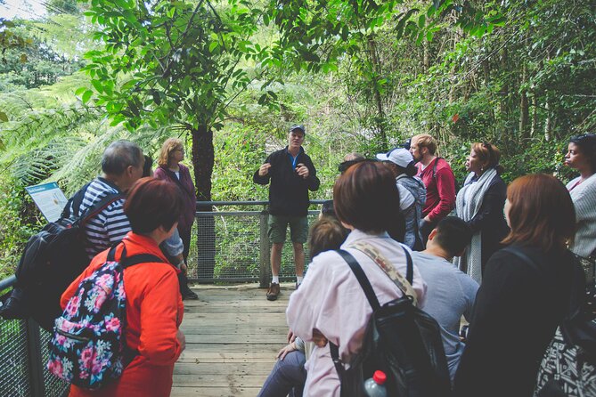 Blue Mountains Day Tour with Wildlife, Walks and Scenic World - A long day that packs in the Blue Mountains