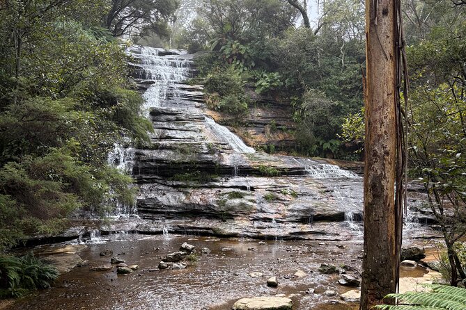 Blue Mountains Day Tours W Scenic World and Lunch - Meeting the Three Sisters above Jamison Valley